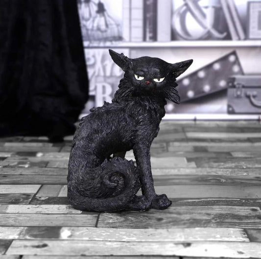 Cat Salem small