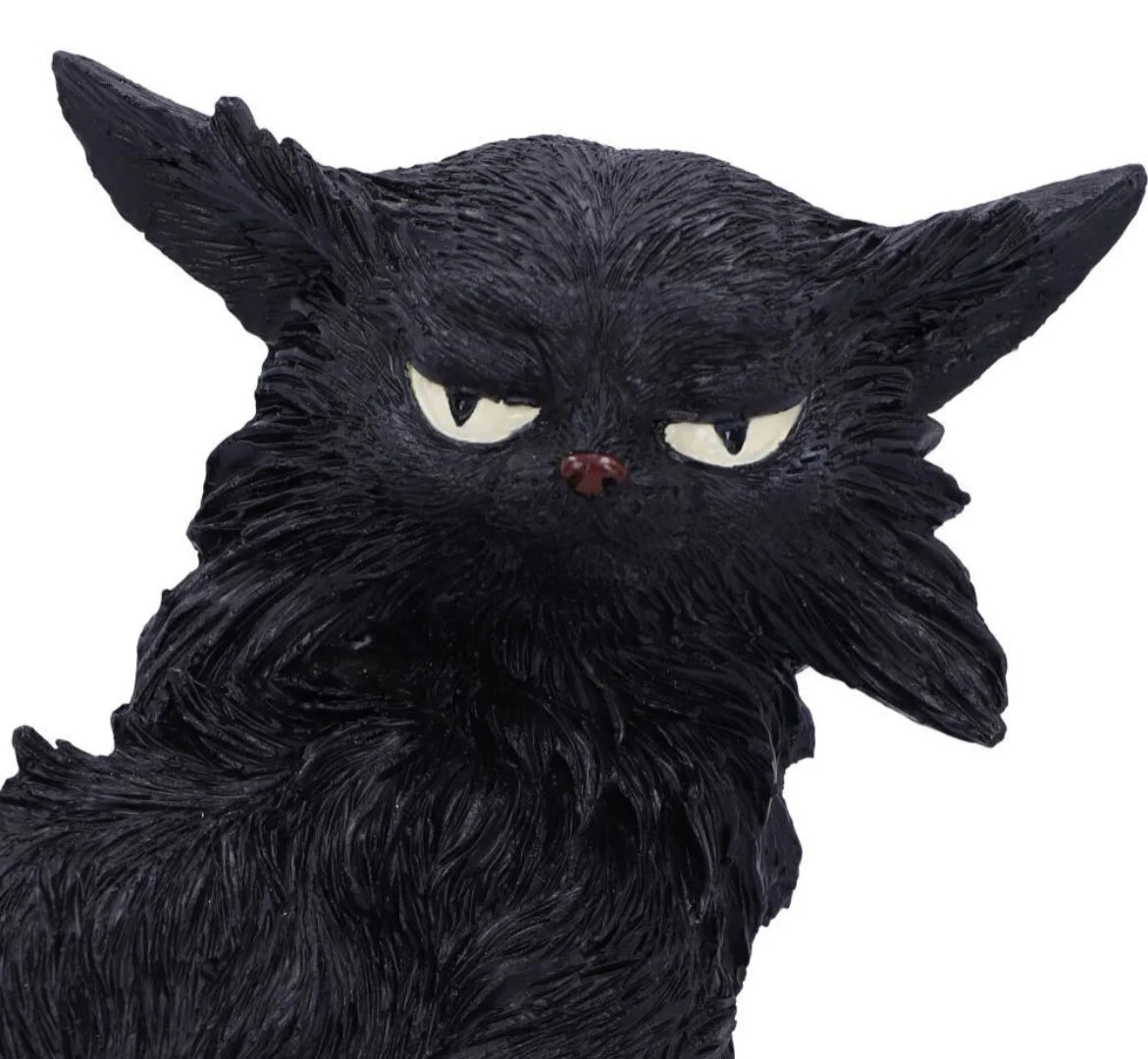 Cat Salem small