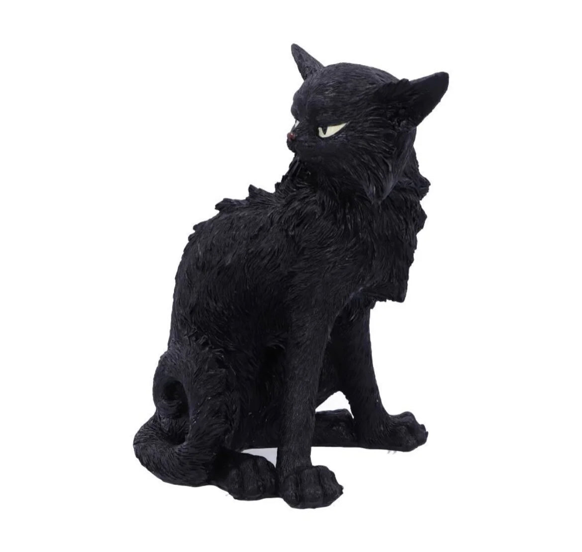Cat Salem small