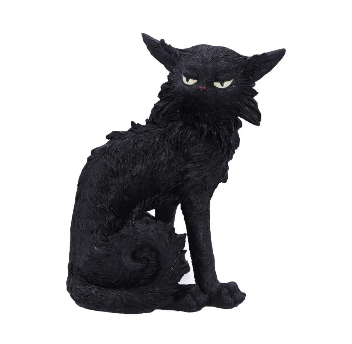 Cat Salem small