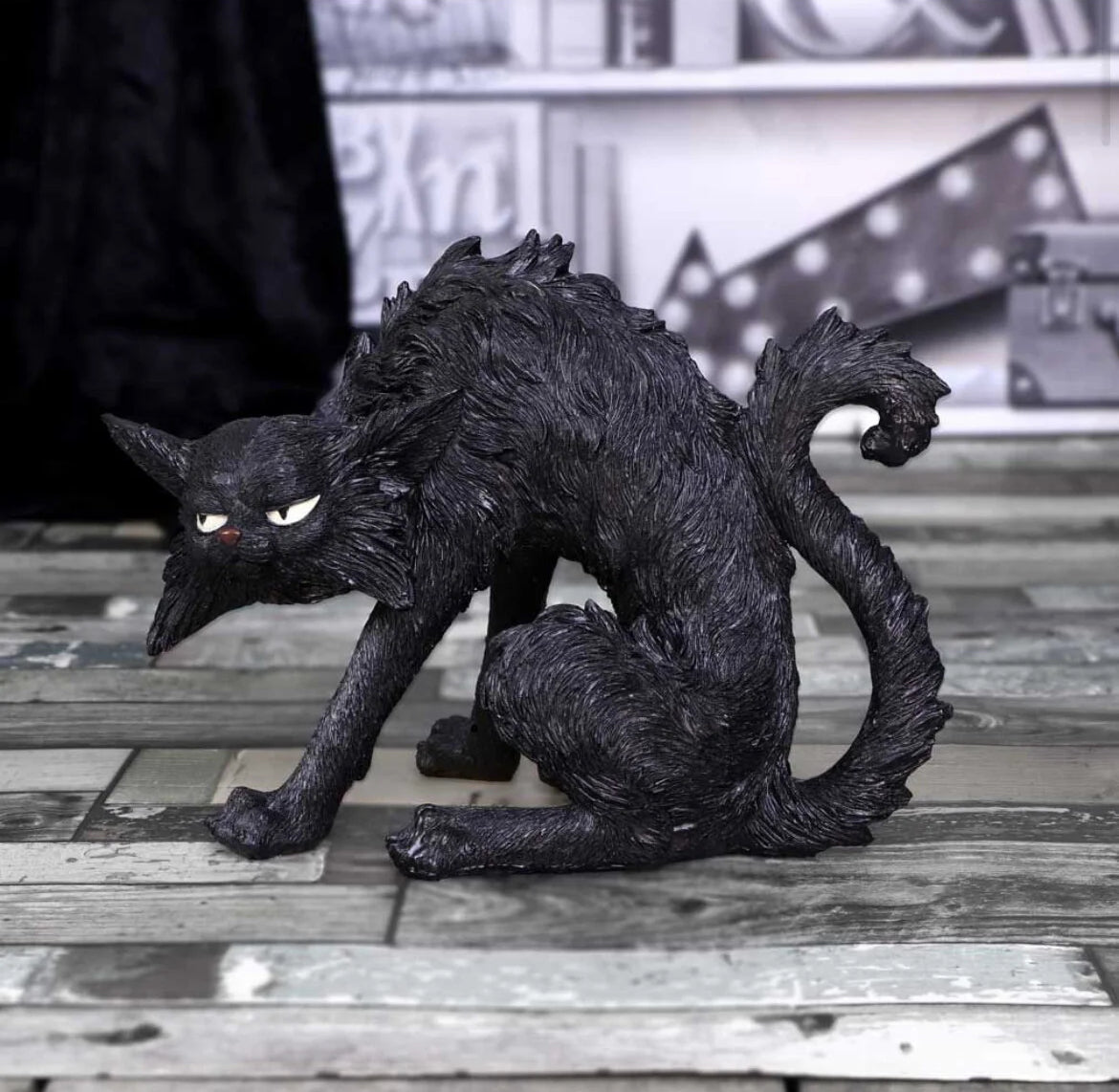 Cat Spite Small