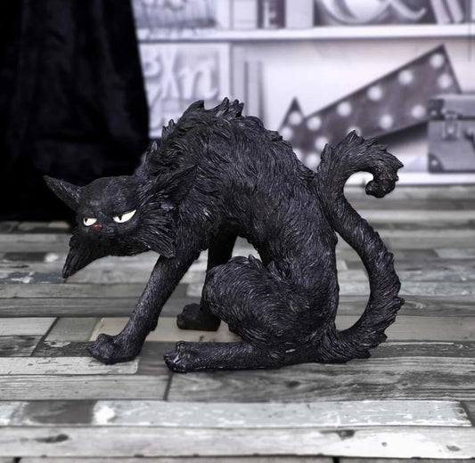 Cat Spite Small