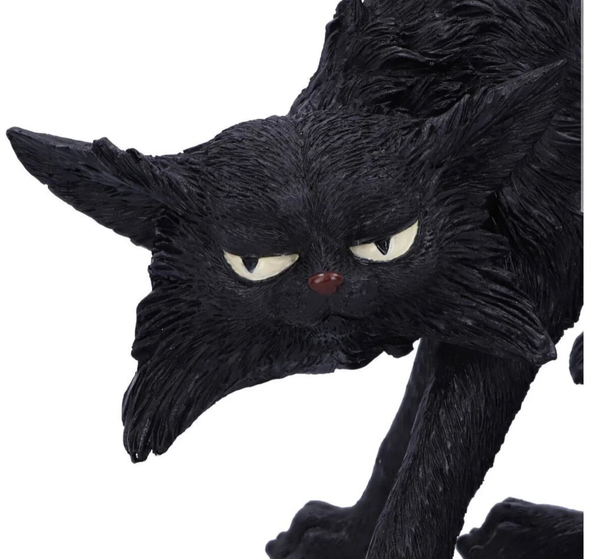 Cat Spite Small
