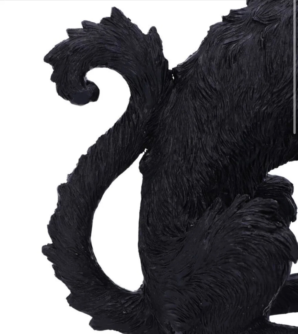 Cat Spite Small