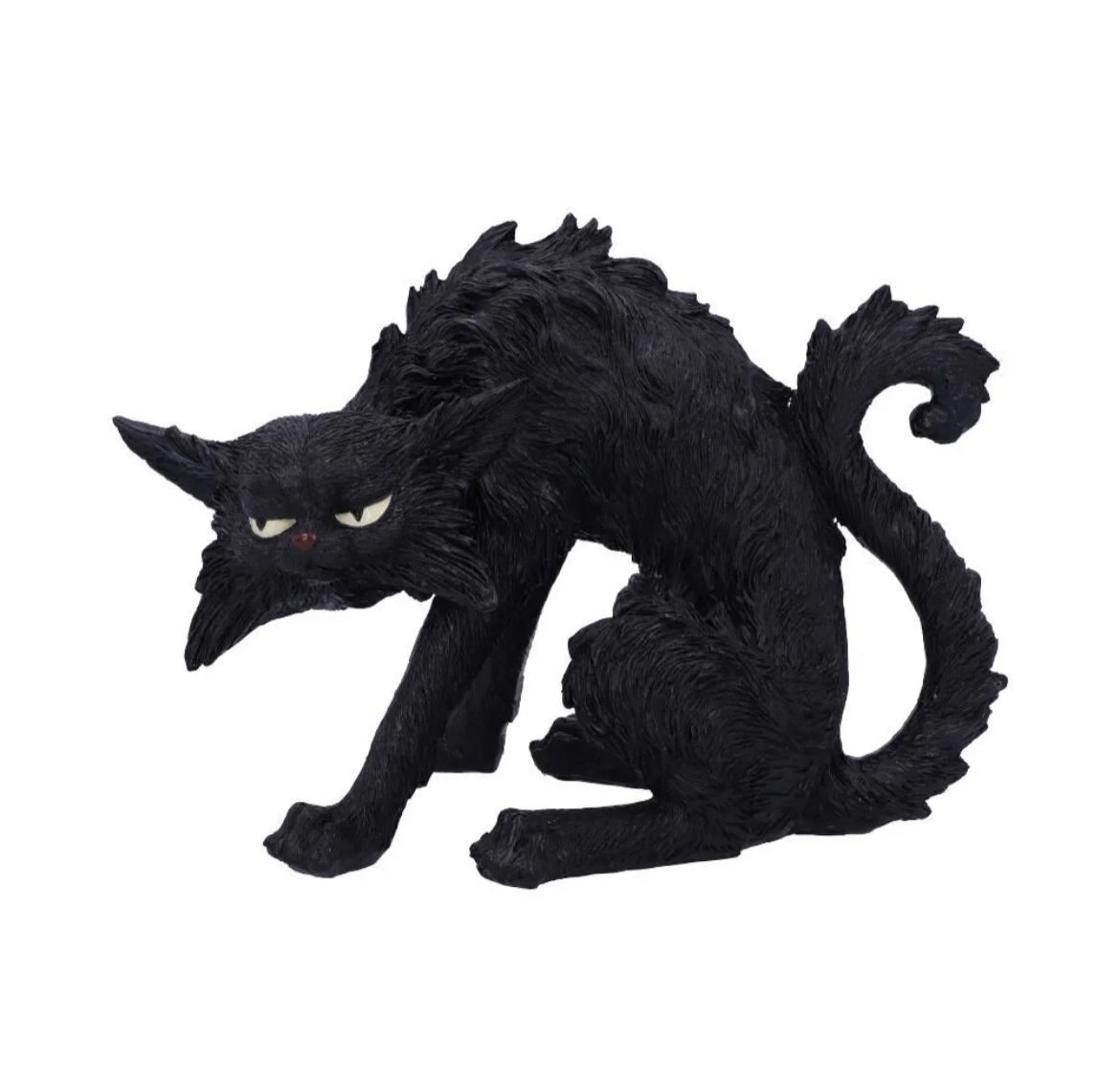 Cat Spite Small