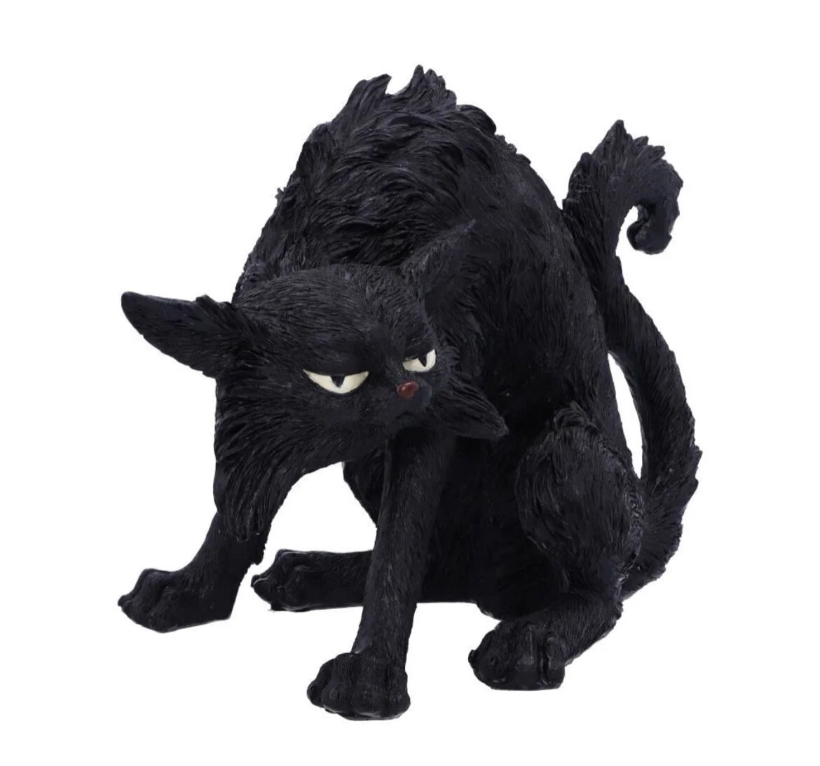 Cat Spite Small