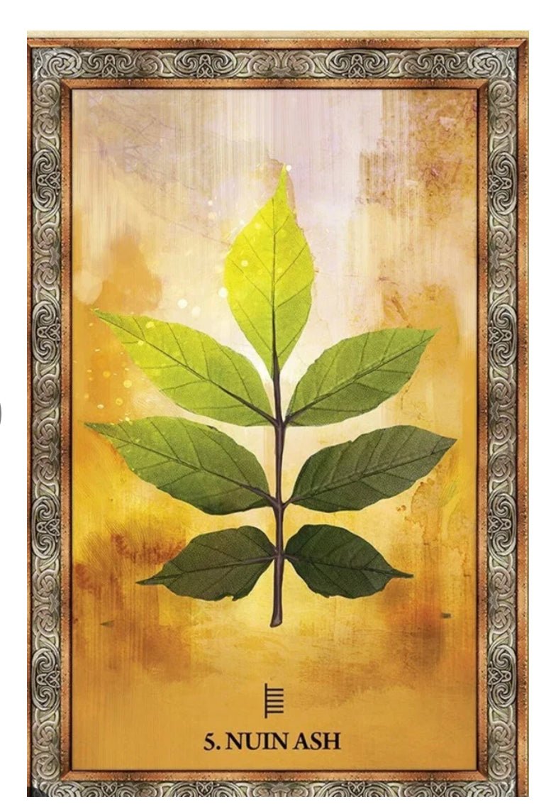 Celtic Tree Oracle