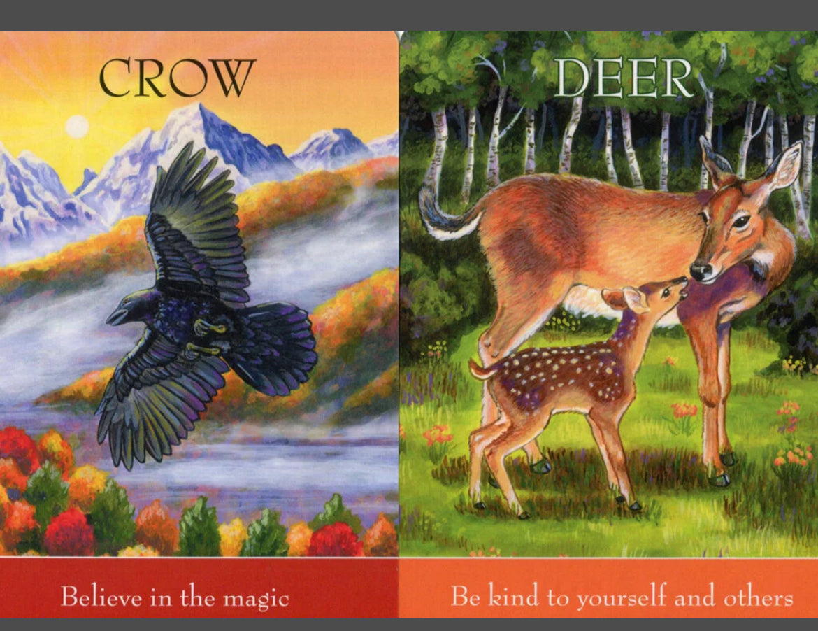 Children’s Spirit Animal Oracle