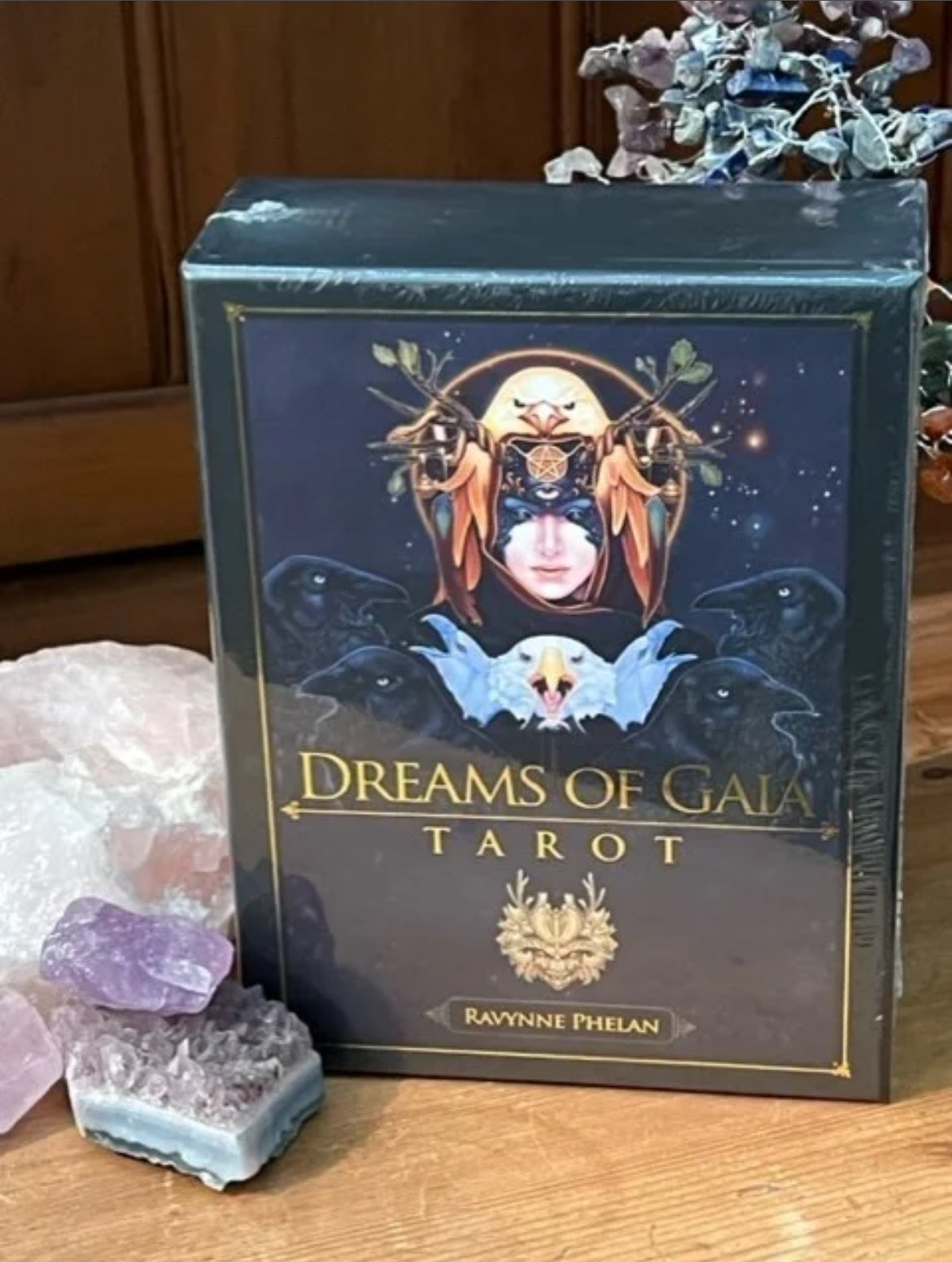 Dreams of Gia Tarot