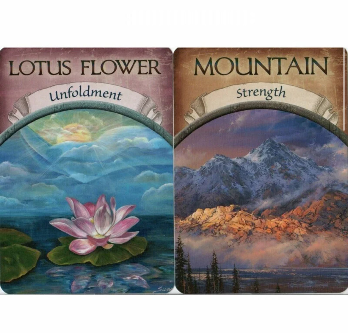 Earth Magic Cards - Steven Farmer