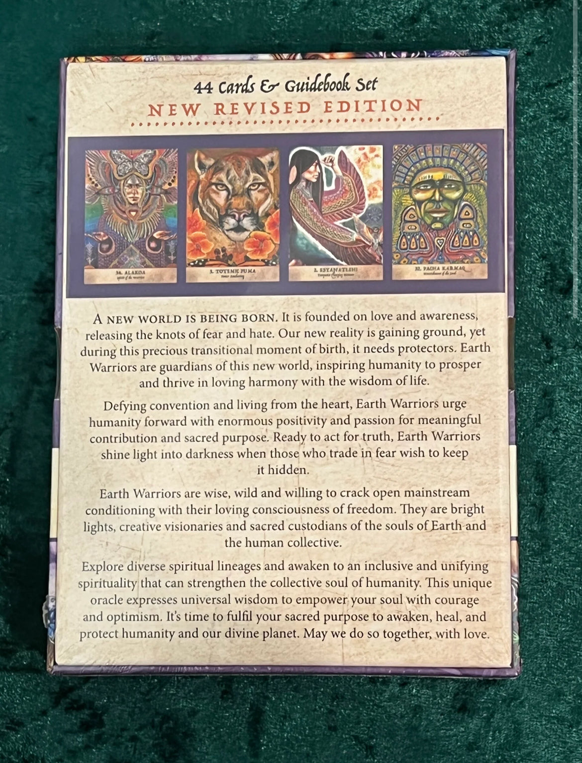 Earth Warriors