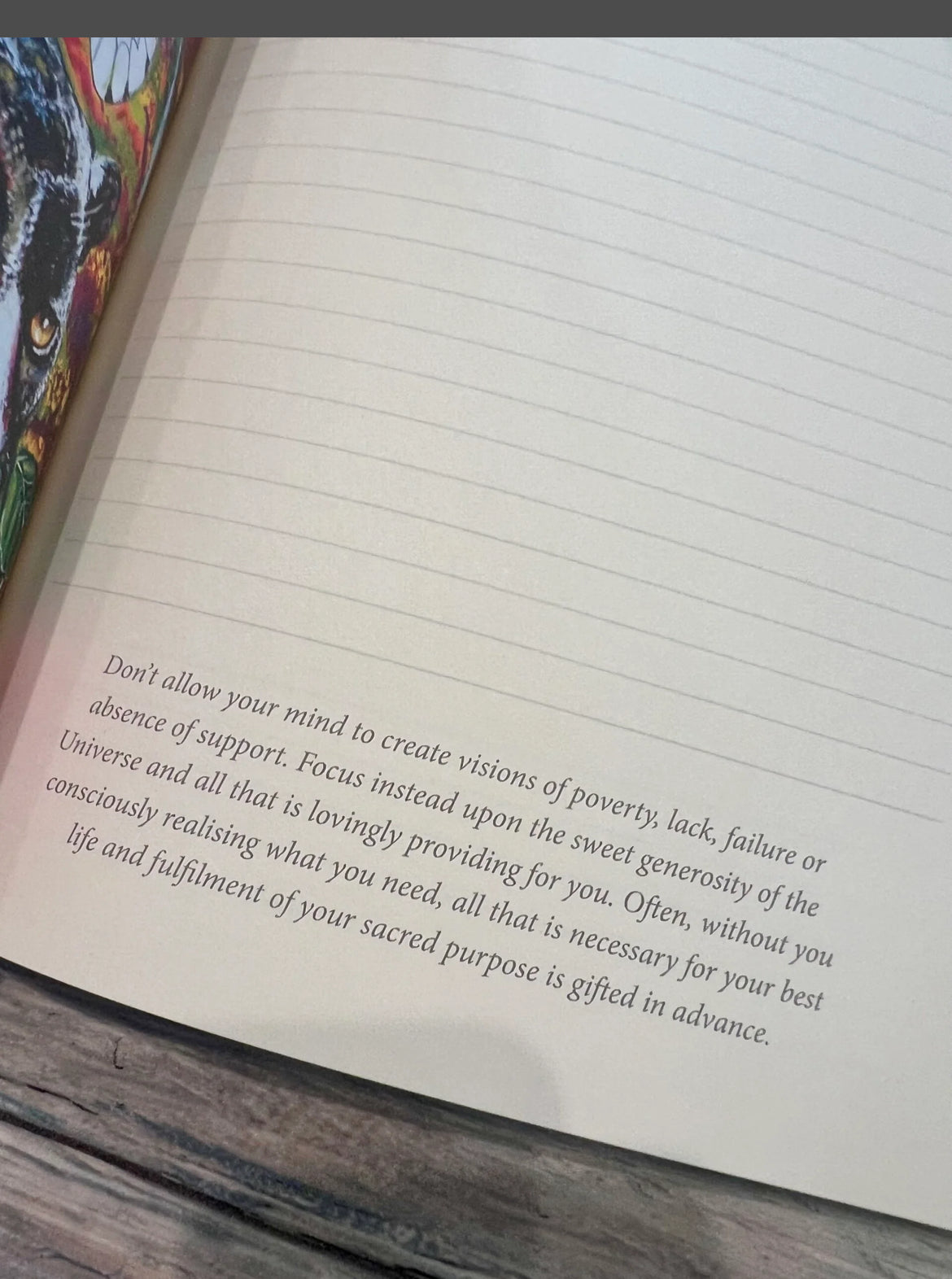 Earth Warriors Journal