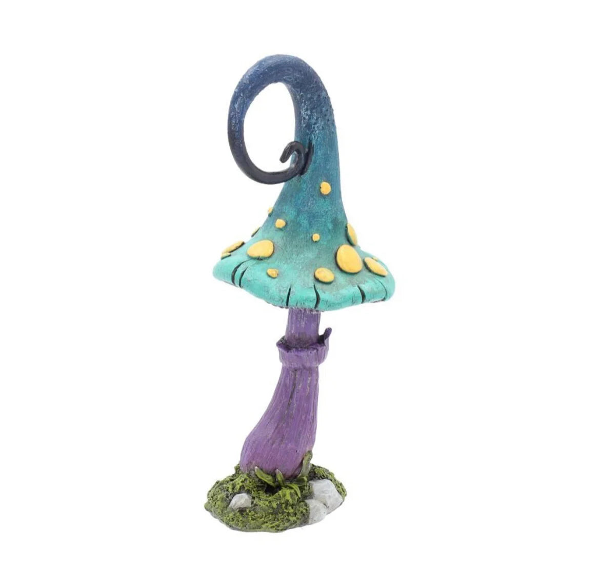 Foolish Fizzy Whizz 24cm