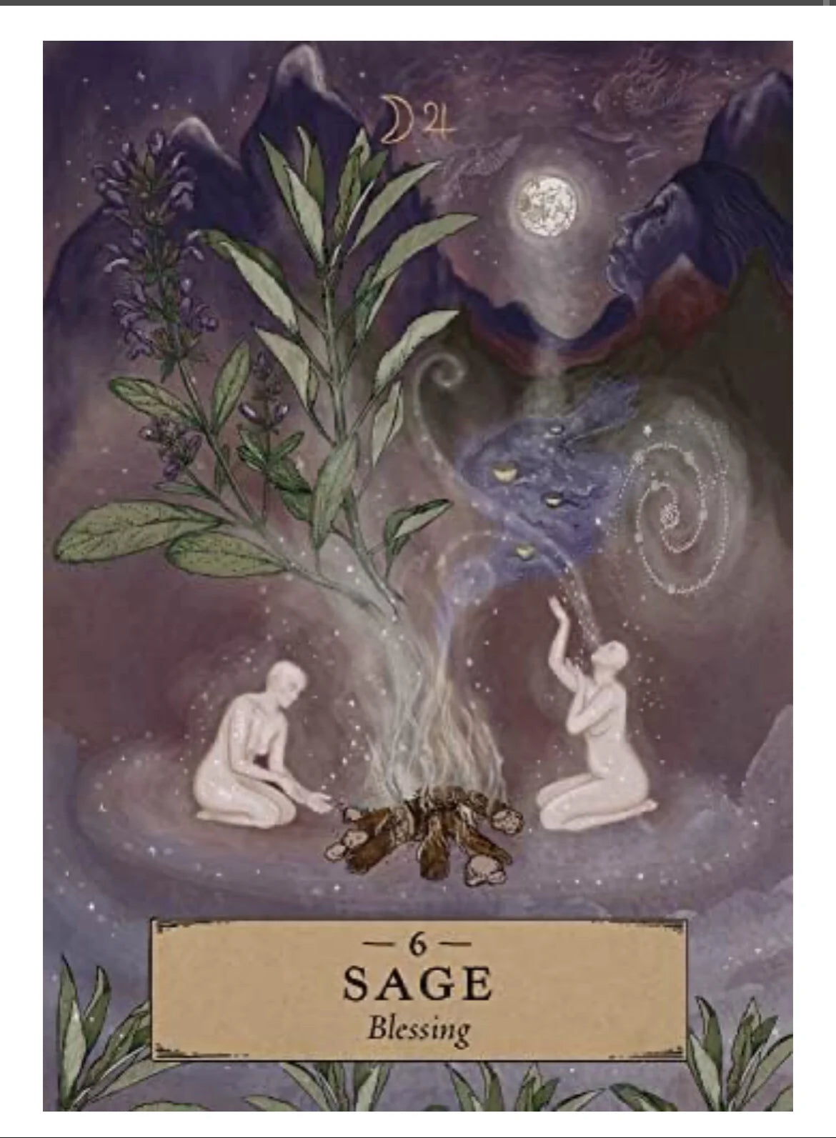 Herbal Astrology Oracle Pocket Deck