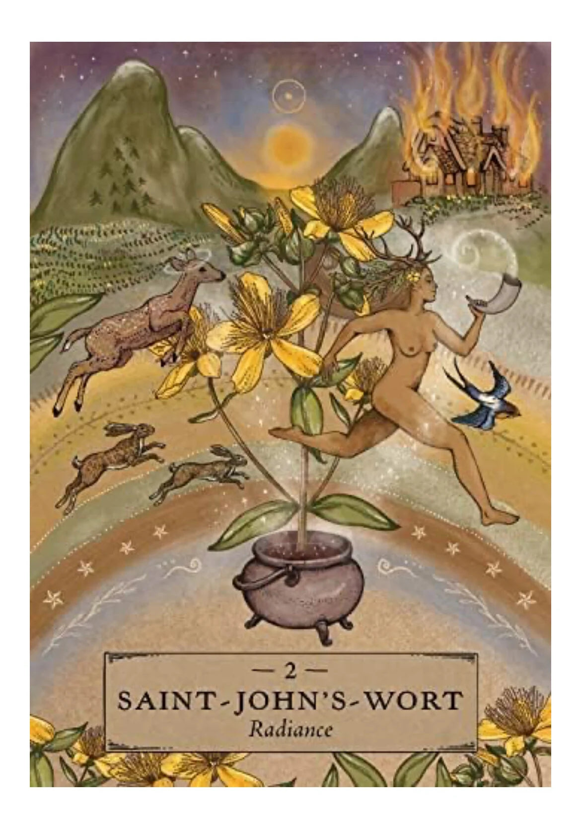 Herbal Astrology Oracle Pocket Deck