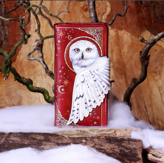Magical flight embossed owl purse 18.5cm