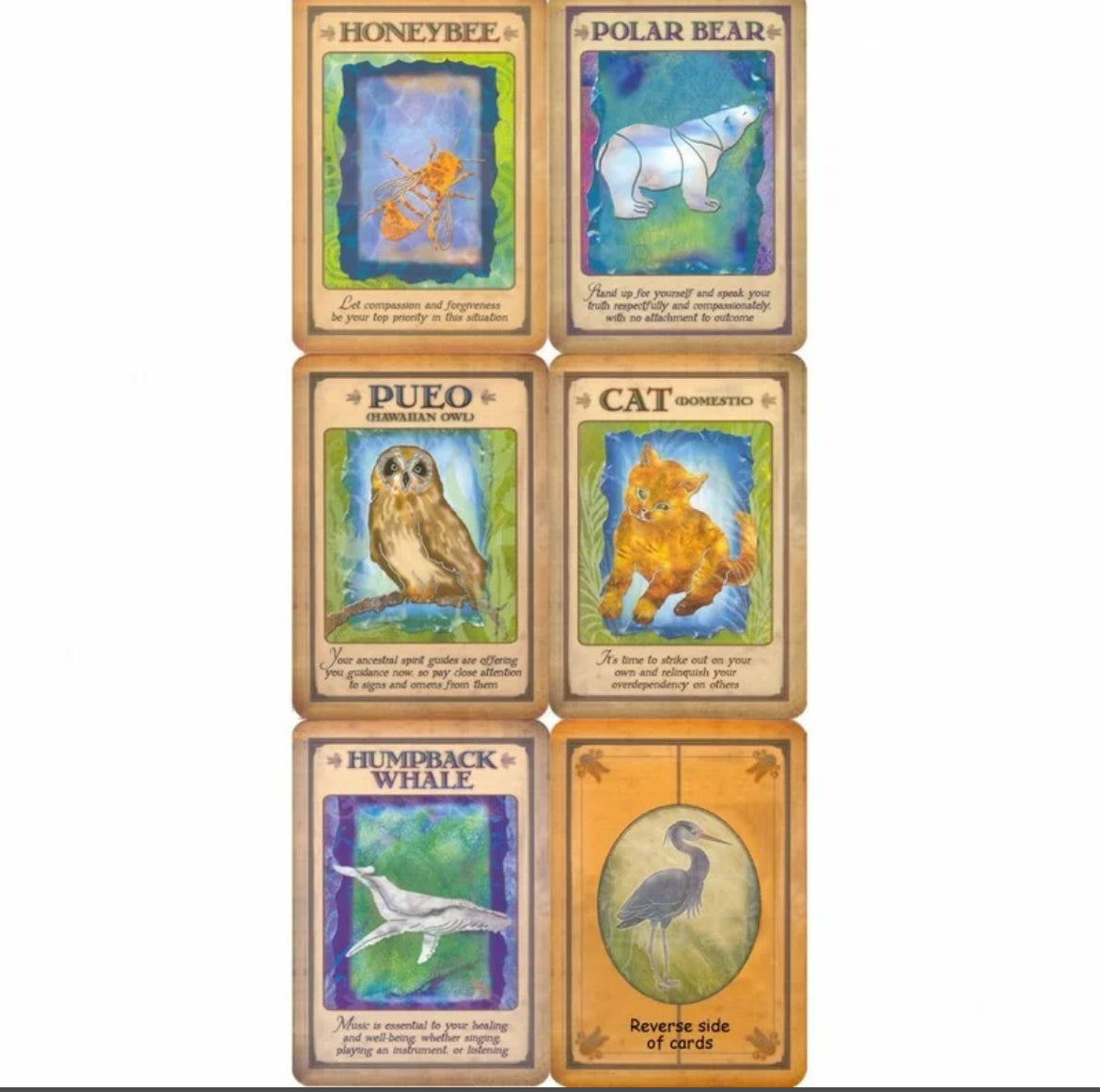 Messages from your Animal Spirit Guides Oracle Cards - Steven Farmer