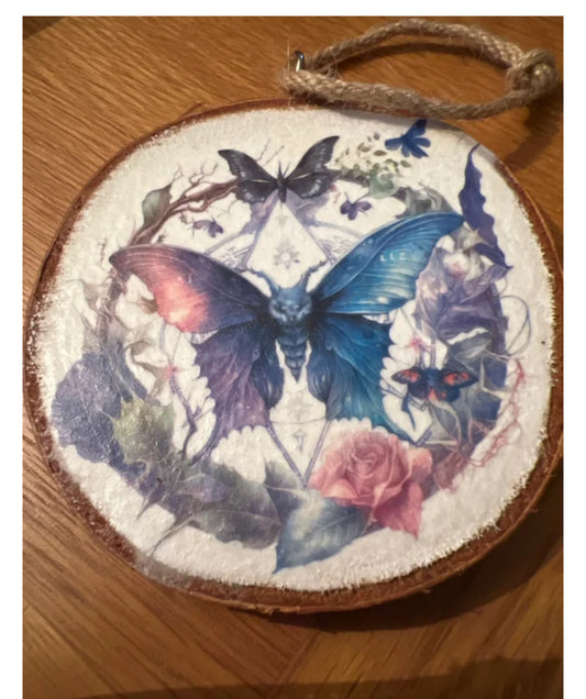 Moth Disc