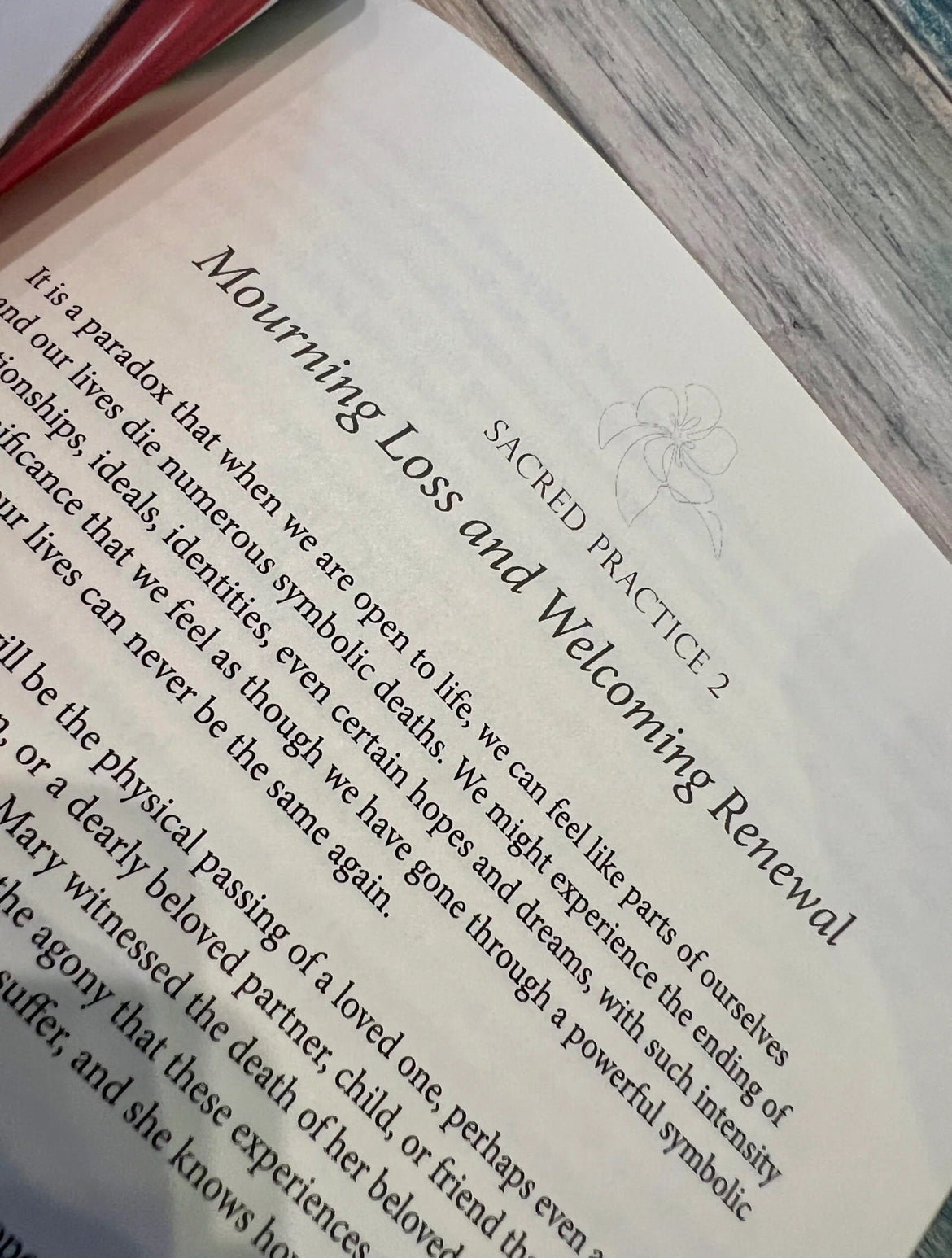 Mother Mary Oracle Journal