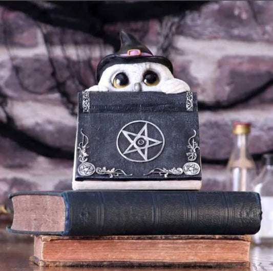 Owl with spell book