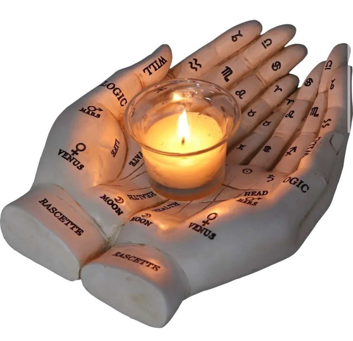 Palmists Hand White 22.3cm