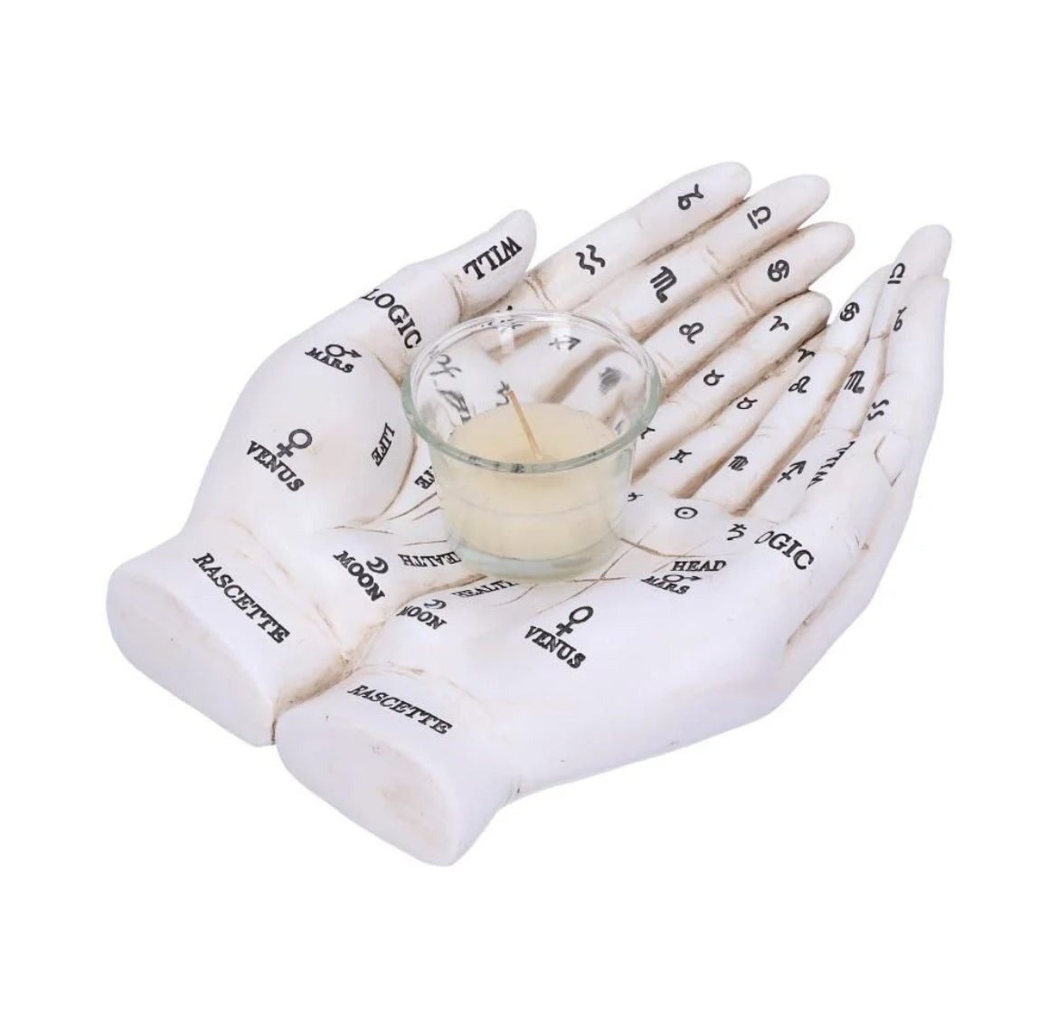 Palmists Hand White 22.3cm
