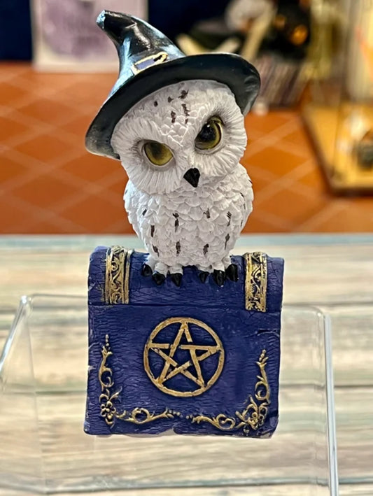 Pentagram Owl