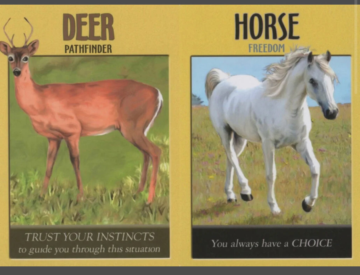 Power Animal Oracle