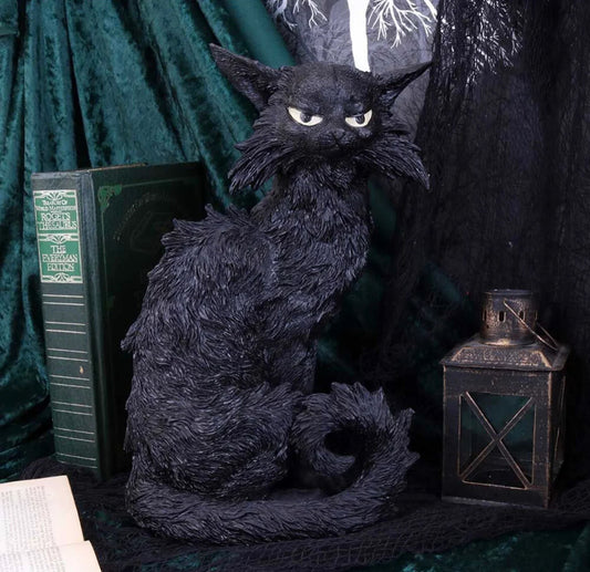 Salem, the witches familiar 32.5cm