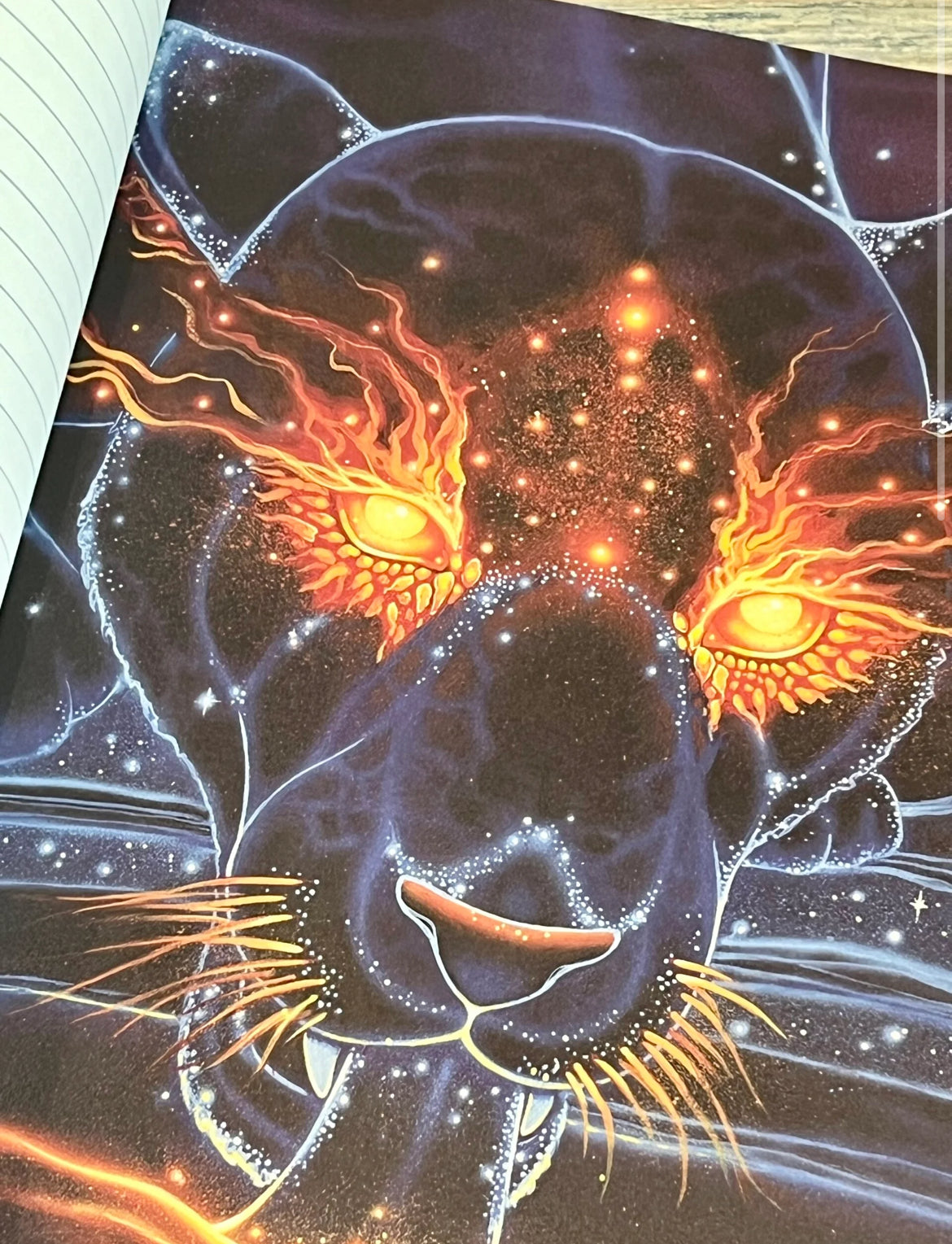 Seek Journal