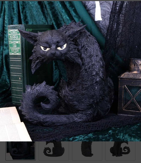 Spite 25.5cm