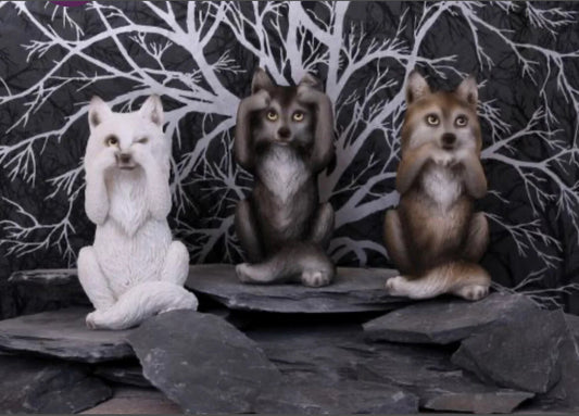 Three Wise Wolves