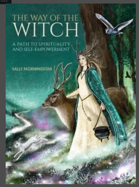 Way of the Witch HB by Sally Morningstar