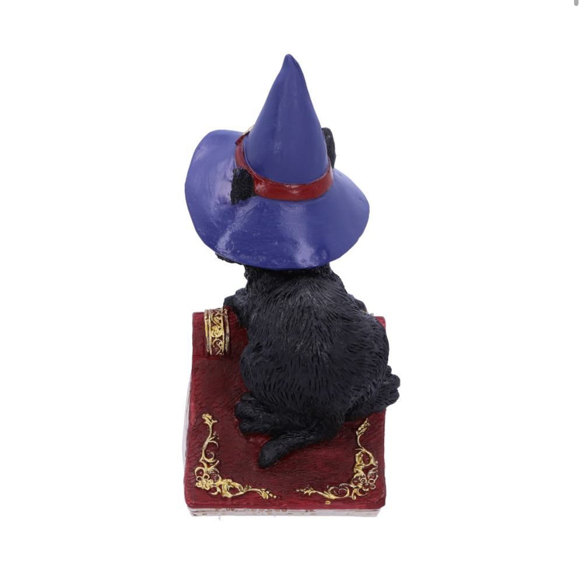 Hocus 12.7cm
