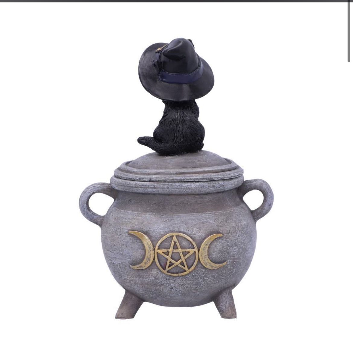 Kitty's Brew 14cm