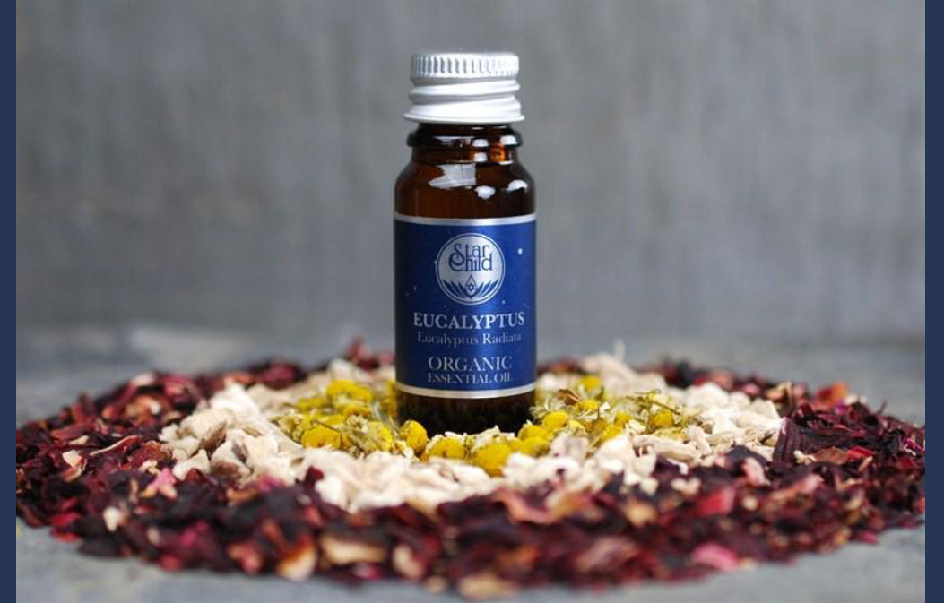 Eucalyptus  Essential Oil 10ml