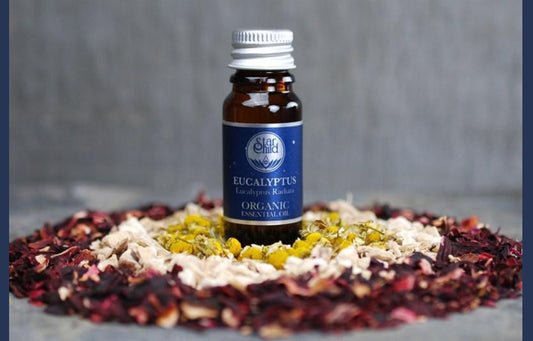 Eucalyptus  Essential Oil 10ml