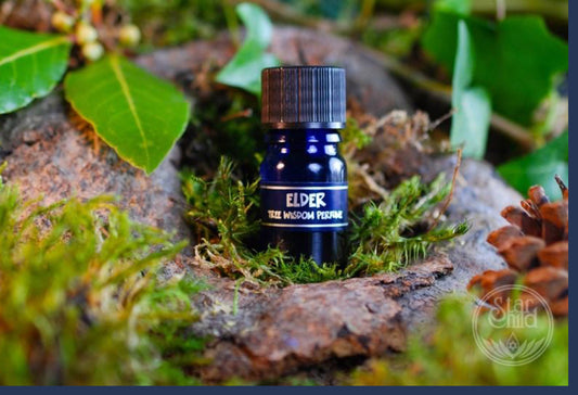 Elder Tree Perfume 5ml