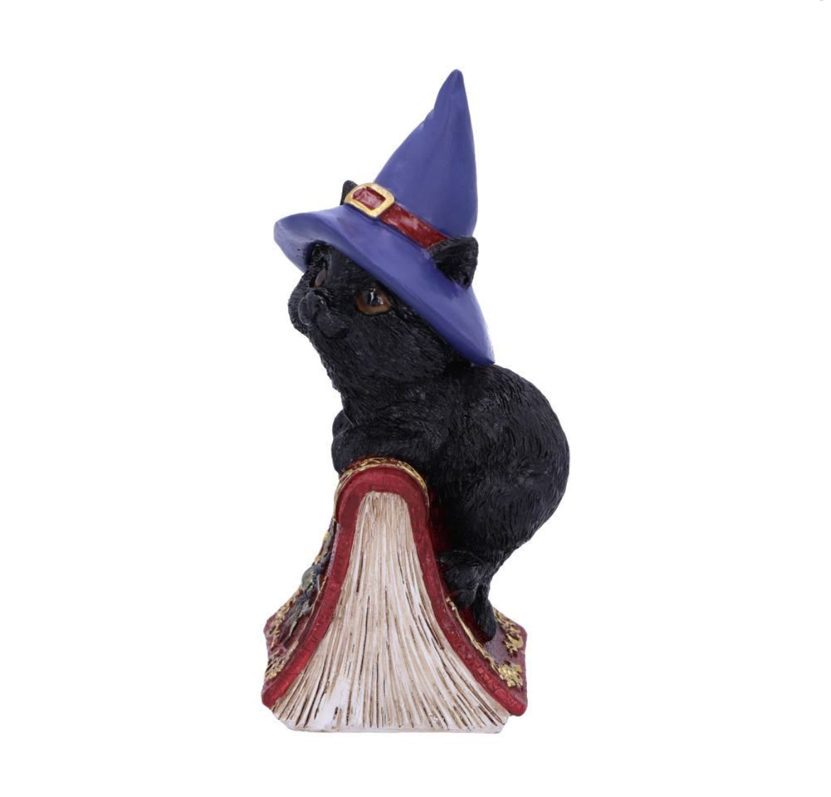Hocus 12.7cm