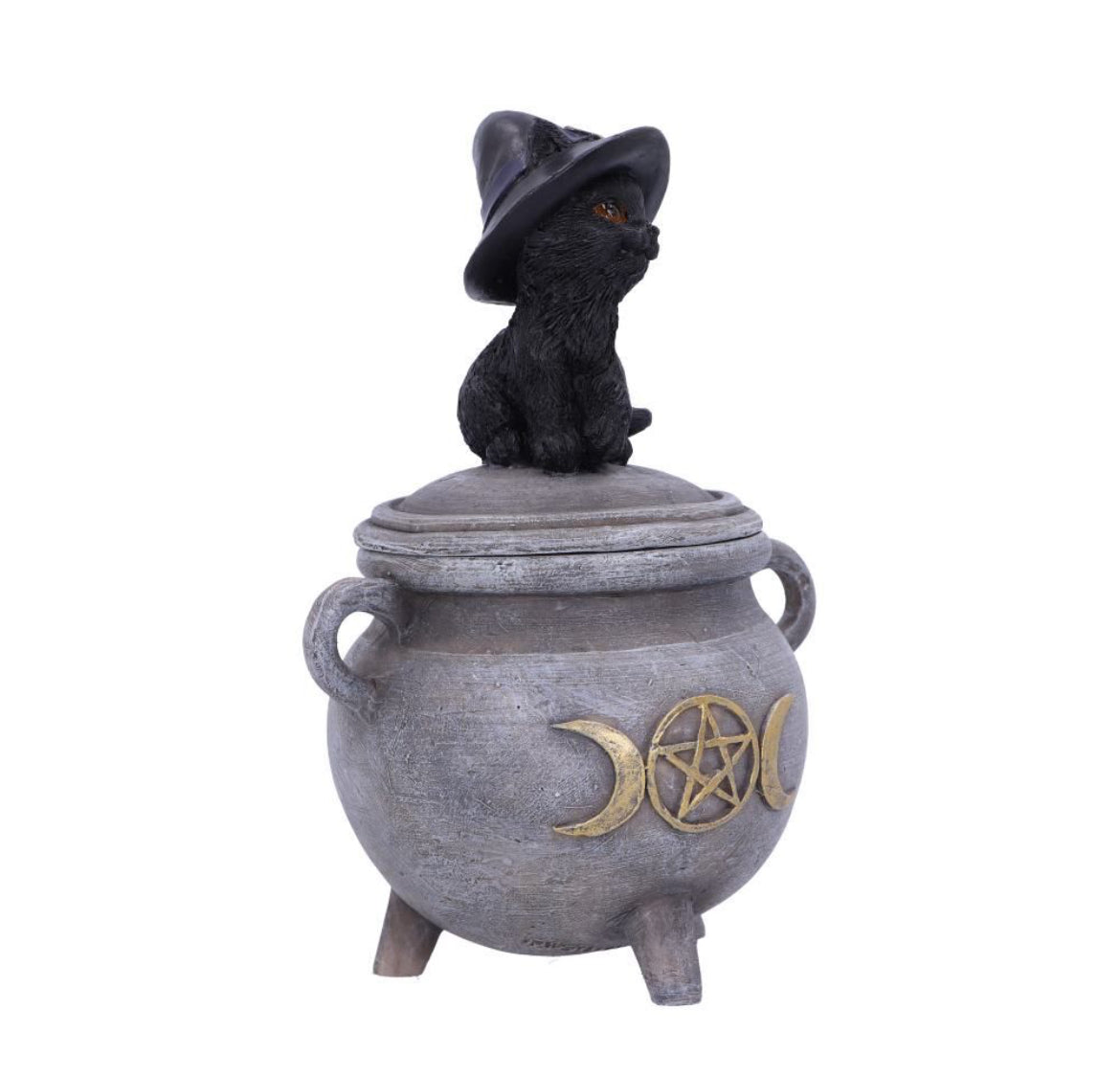 Kitty's Brew 14cm