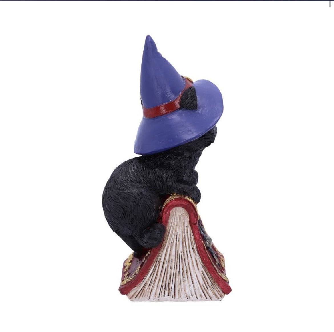 Hocus 12.7cm