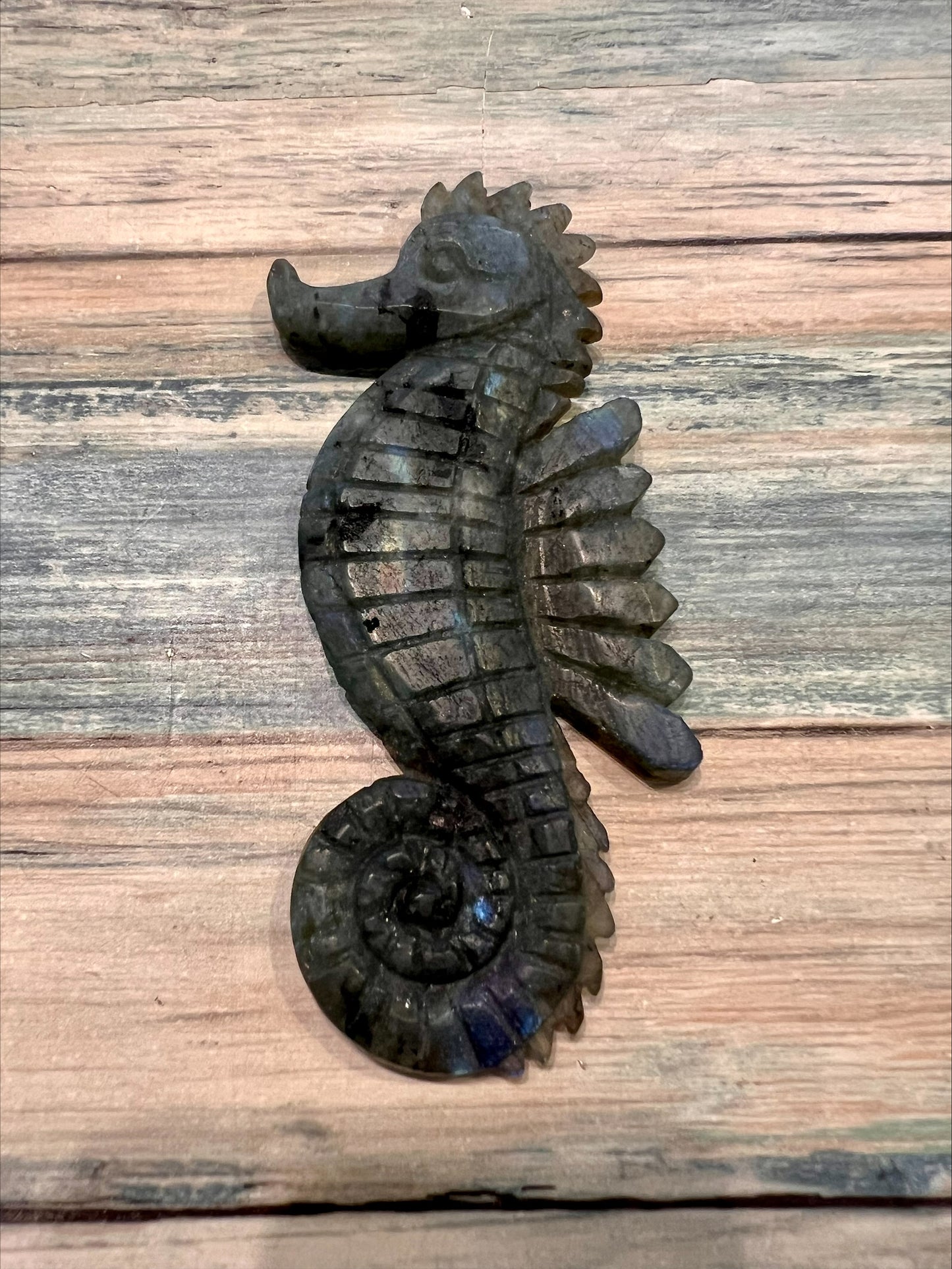 Labradorite Sea Horse