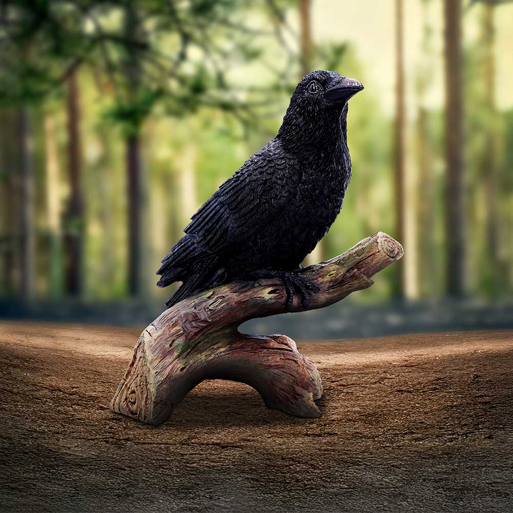 Raven's Perch 20cm