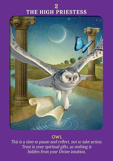 Animal Guides Tarot