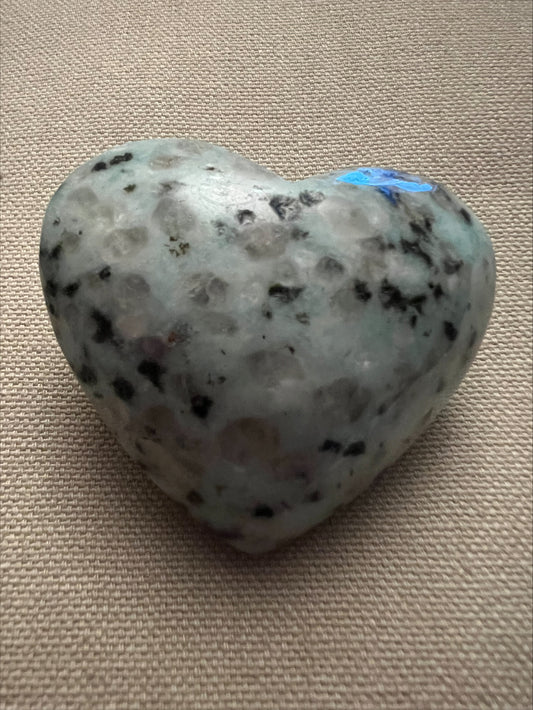 Heart - Kiwi