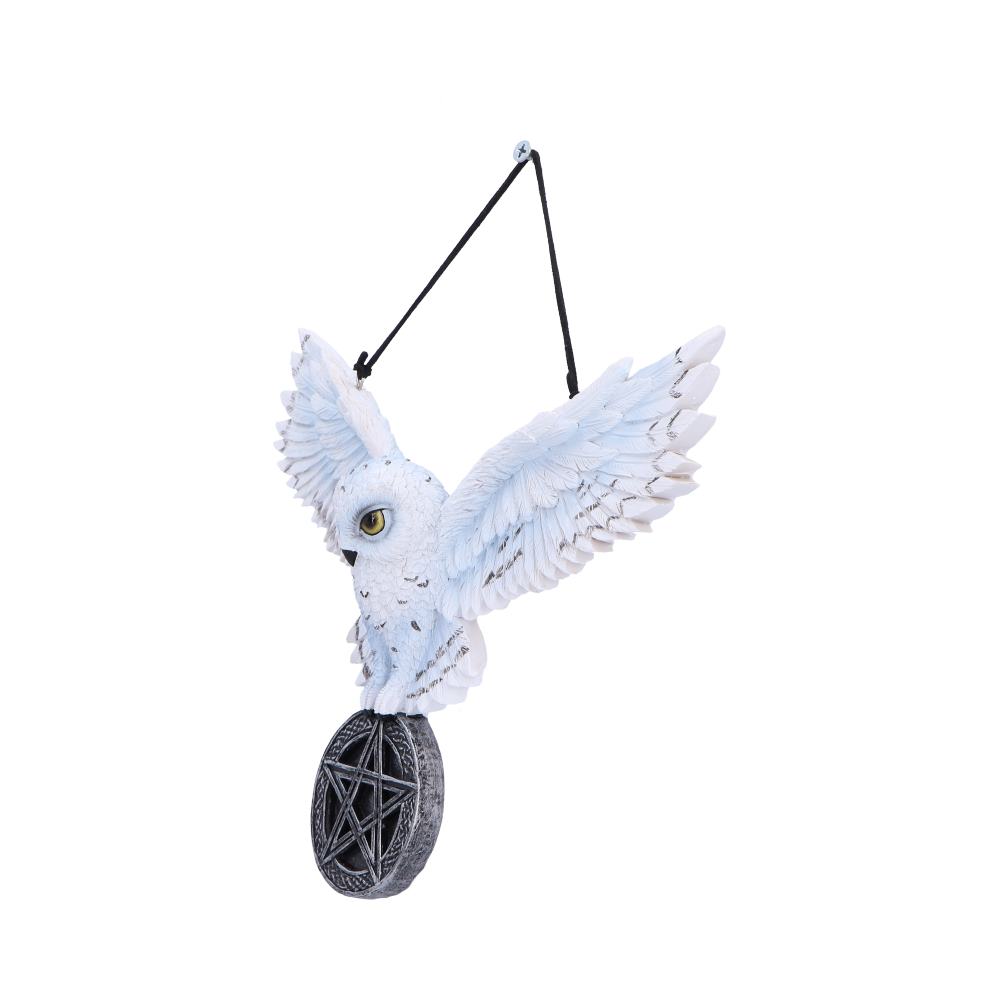 Owl Talisman20.5cm