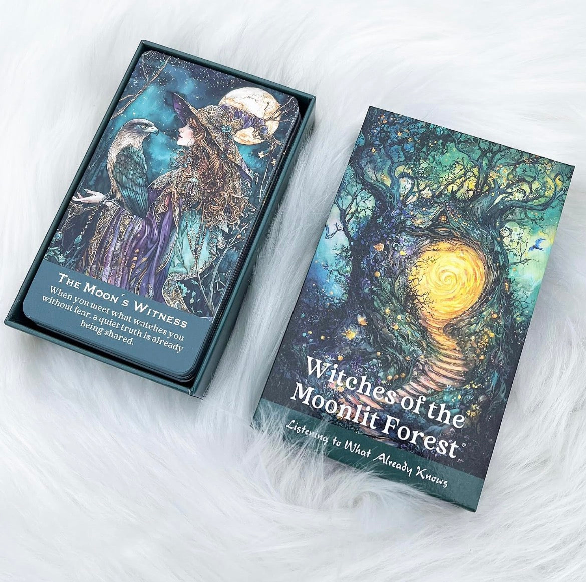Witches of the Moonlit Forest