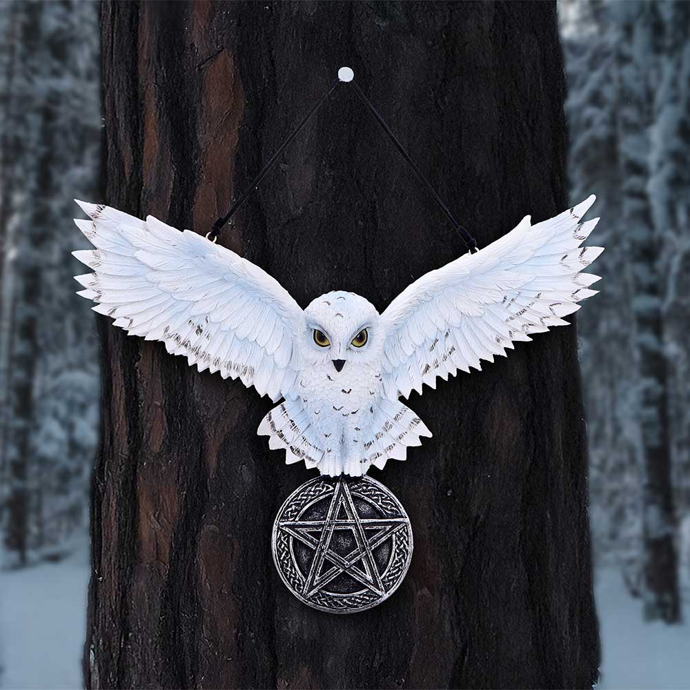 Owl Talisman20.5cm