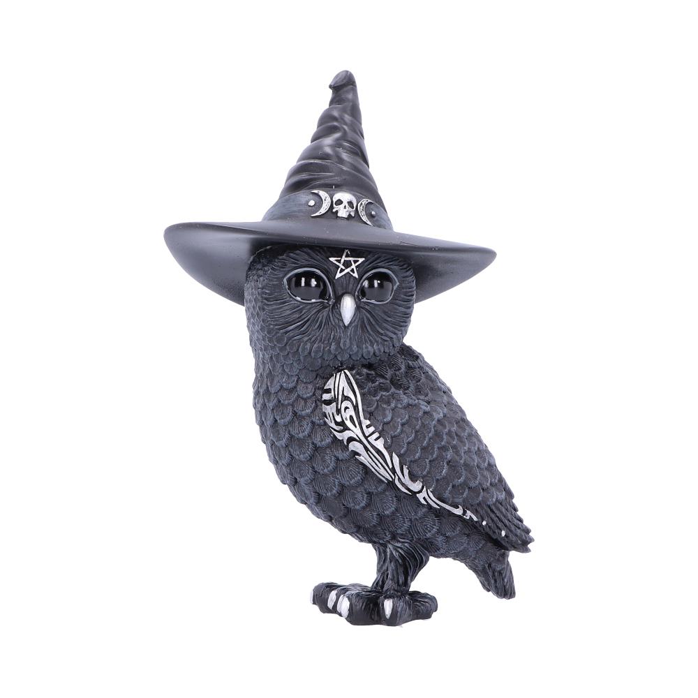 Cult Cutie - Owlocen 13.5cm