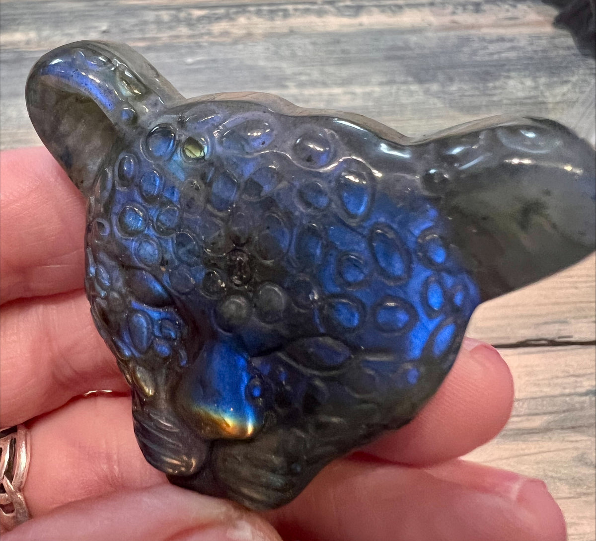 Labradorite Leopard Head